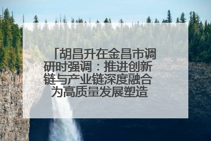 胡昌升在金昌市调研时强调：推进创新链与产业链深度融合 为高质量发展塑造新动能新优势