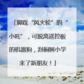 脚踩“风火轮”的“小吒”，可脱离遥控板的机器狗，泡桐树小学来了新朋友！