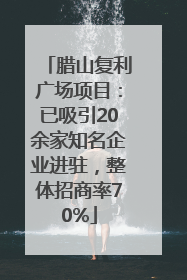 腊山复利广场项目：已吸引20余家知名企业进驻，整体招商率70%
