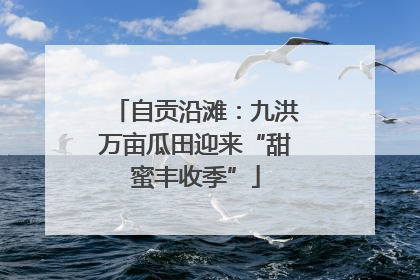自贡沿滩：九洪万亩瓜田迎来“甜蜜丰收季”