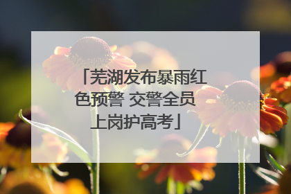 芜湖发布暴雨红色预警 交警全员上岗护高考
