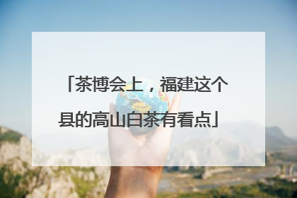 茶博会上，福建这个县的高山白茶有看点