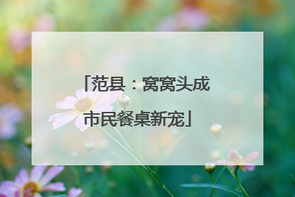 范县：窝窝头成市民餐桌新宠