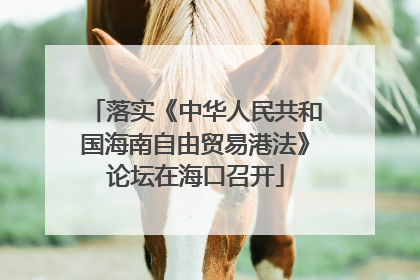 落实《中华人民共和国海南自由贸易港法》论坛在海口召开