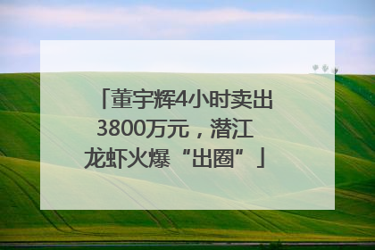 董宇辉4小时卖出3800万元，潜江龙虾火爆“出圈”