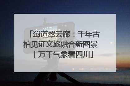 蜀道翠云廊：千年古柏见证文旅融合新图景丨万千气象看四川