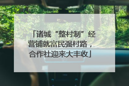 诸城“整村制”经营铺就富民强村路，合作社迎来大丰收
