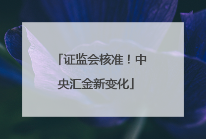 证监会核准！中央汇金新变化