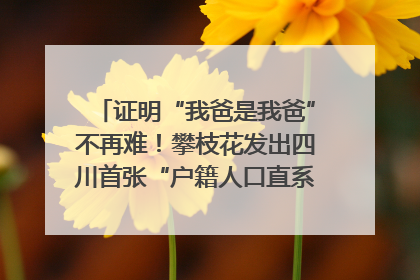 证明“我爸是我爸”不再难！攀枝花发出四川首张“户籍人口直系亲属关系谱”