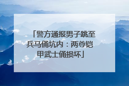 警方通报男子跳至兵马俑坑内：两尊铠甲武士俑损坏