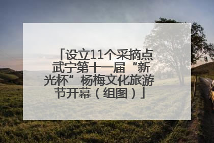 设立11个采摘点 武宁第十一届“新光杯”杨梅文化旅游节开幕（组图）