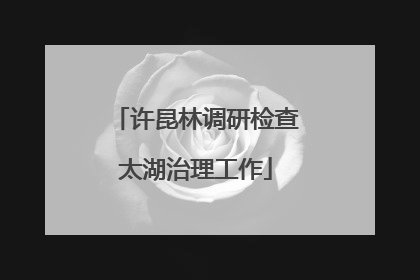 许昆林调研检查太湖治理工作