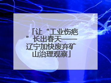 让“工业伤疤”长出春天——辽宁加快废弃矿山治理观察