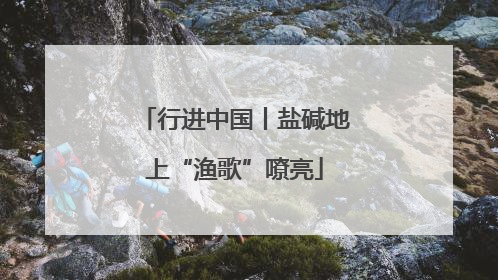 行进中国丨盐碱地上“渔歌”嘹亮