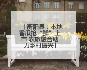 衡阳县：本地香瓜抢“鲜”上市 农旅融合助力乡村振兴