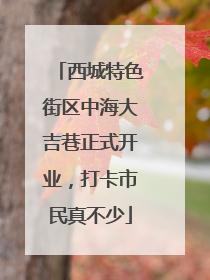 西城特色街区中海大吉巷正式开业，打卡市民真不少
