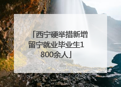 西宁硬举措新增留宁就业毕业生1800余人