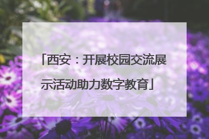 西安：开展校园交流展示活动助力数字教育
