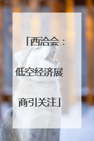 西洽会：低空经济展商引关注