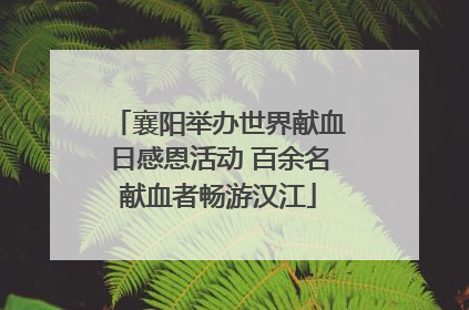 襄阳举办世界献血日感恩活动 百余名献血者畅游汉江
