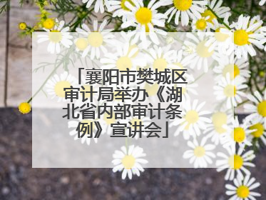 襄阳市樊城区审计局举办《湖北省内部审计条例》宣讲会