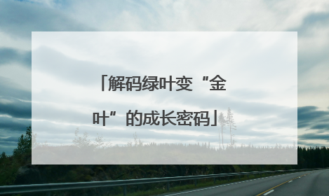 解码绿叶变“金叶”的成长密码