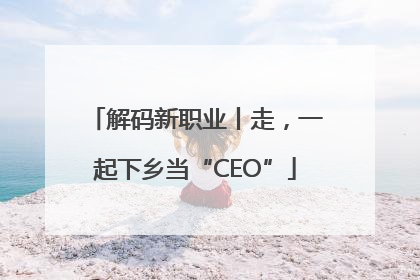 解码新职业丨走，一起下乡当“CEO”