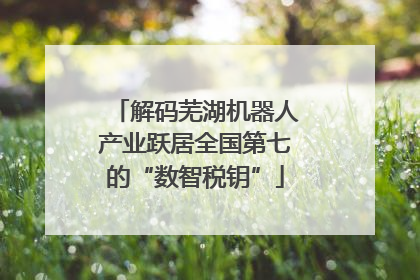 解码芜湖机器人产业跃居全国第七的“数智税钥”