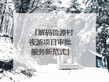 解码鲁源村夜游项目审批服务新范式