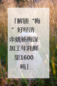 解锁“梅”好经济 余姚杨梅深加工年耗鲜果1600吨