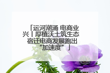 运河潮涌 电商业兴丨厚植沃土筑生态 宿迁电商发展跑出“加速度”