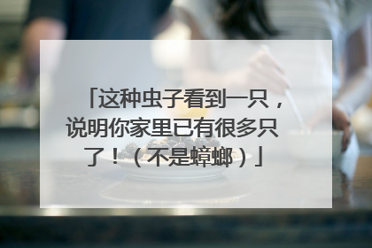 这种虫子看到一只，说明你家里已有很多只了！（不是蟑螂）