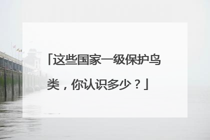 这些国家一级保护鸟类，你认识多少？