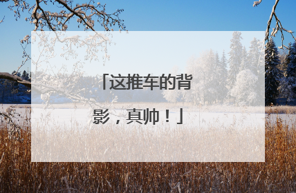 这推车的背影，真帅！