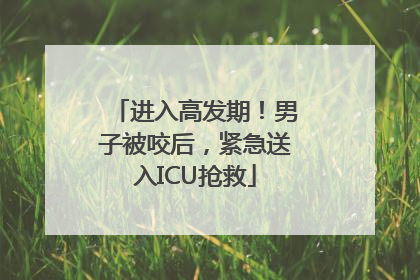 进入高发期！男子被咬后，紧急送入ICU抢救