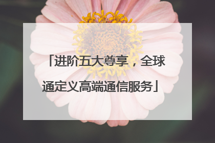 进阶五大尊享，全球通定义高端通信服务