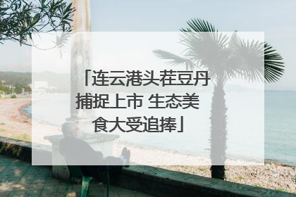 连云港头茬豆丹捕捉上市 生态美食大受追捧