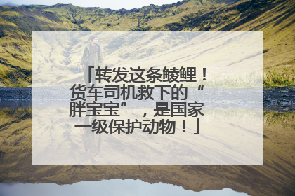 转发这条鲮鲤！货车司机救下的“胖宝宝”，是国家一级保护动物！