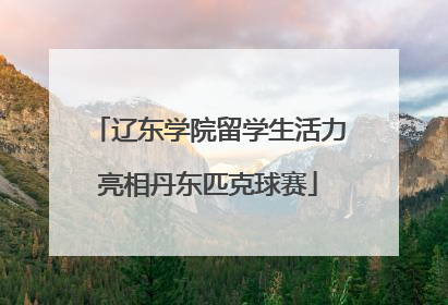 辽东学院留学生活力亮相丹东匹克球赛