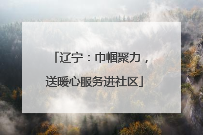 辽宁：巾帼聚力，送暖心服务进社区