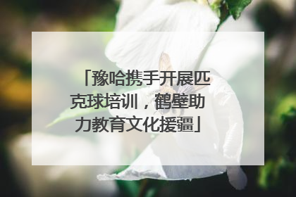 豫哈携手开展匹克球培训，鹤壁助力教育文化援疆