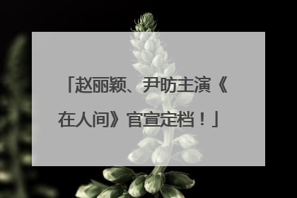 赵丽颖、尹昉主演《在人间》官宣定档！