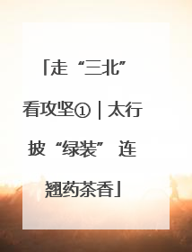 走“三北” 看攻坚①｜太行披“绿装” 连翘药茶香