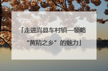 走进嵩县车村镇—领略“黄精之乡”的魅力