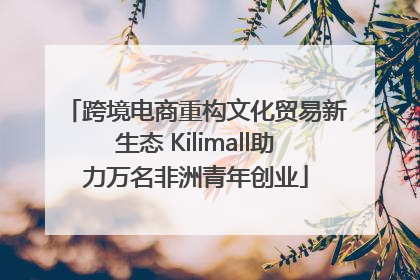 跨境电商重构文化贸易新生态 Kilimall助力万名非洲青年创业