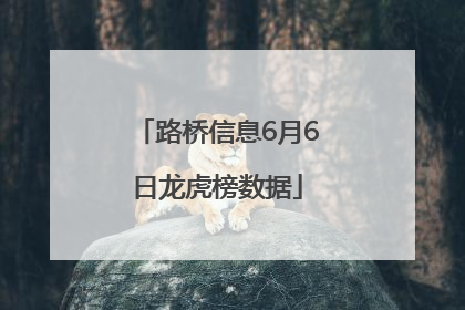 路桥信息6月6日龙虎榜数据