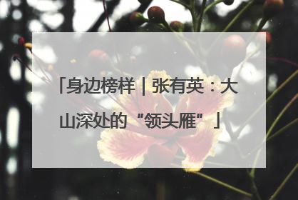 身边榜样｜张有英：大山深处的“领头雁”