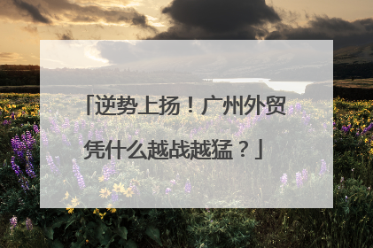 逆势上扬！广州外贸凭什么越战越猛？