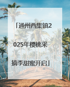 通州西集镇2025年樱桃采摘季甜蜜开启