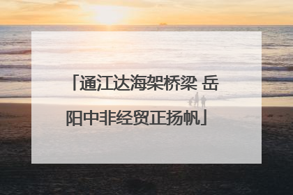 通江达海架桥梁 岳阳中非经贸正扬帆